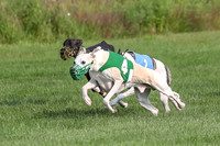 prg 1 race 2 Wallie Frankie Devo Sid Elsa-2867