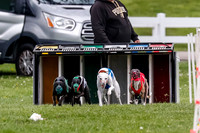 NOTRA Program 4, Race 1, Warrior Barley Flair Victor-2-7