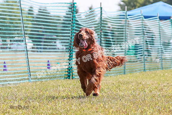 AE4I1226