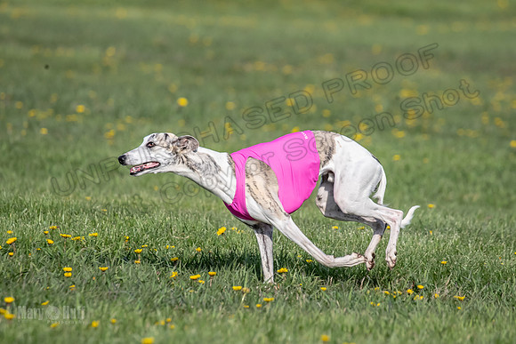 1Prelims Open E1 Boujee Riptide Zaza-0719