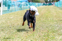AE4I2348