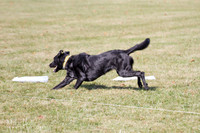 IMG_0058