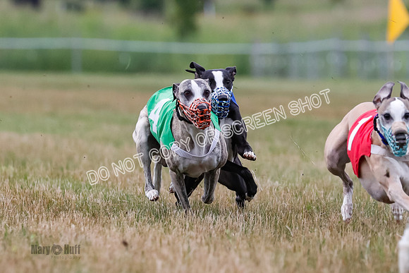 Prg 3, Race 4, Rowan-Jett-Blaze-Shimmy-Bogie-1140