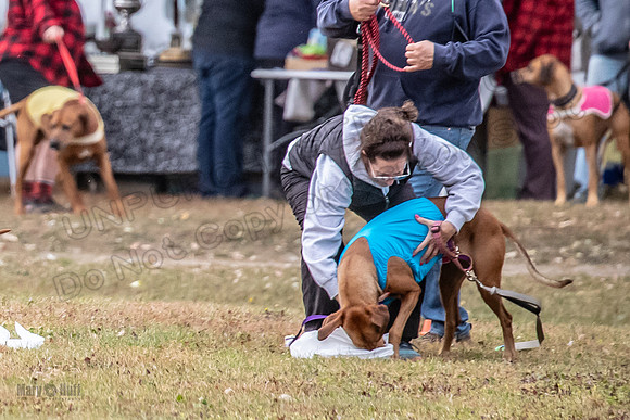 Finals Fch 1 Islay Opal Dakota-2437
