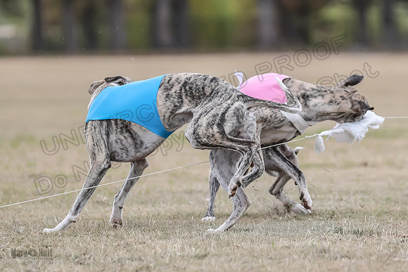 Finals Open 1 Steel Maverick Eggsy-3878