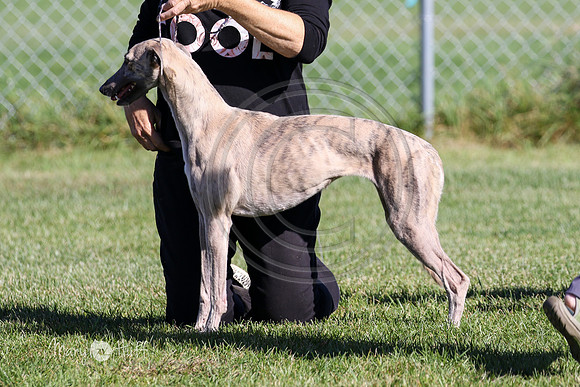 MCH75937