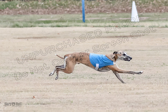 1Prelim Open 2 Shine Maverick Steel-2984