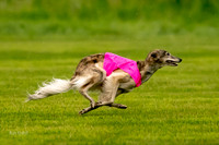 Prelim Open Silken-0397