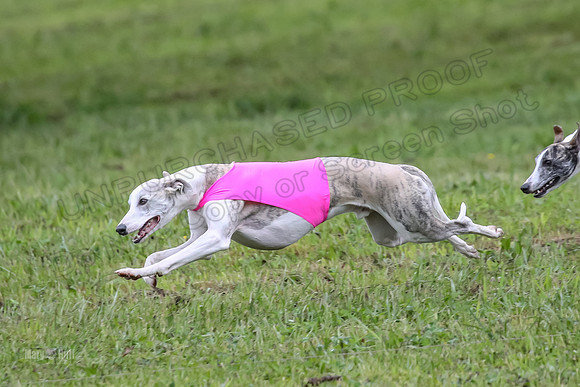 Prelim Open E1, Rip Mateo Maverick-9020