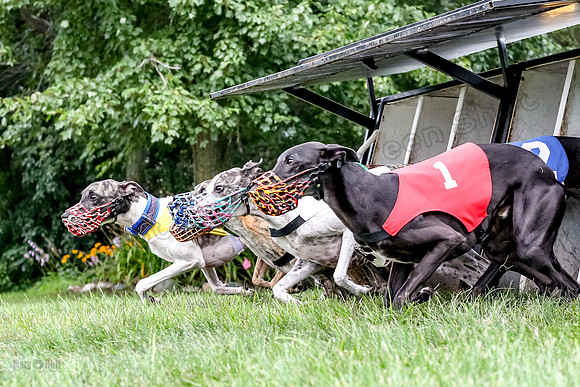 prg 1 race 3 Julian Guy Valerie Meatloaf Rhylie Quinn-3555