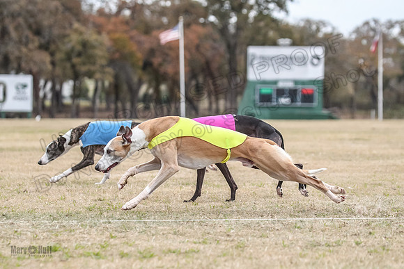 Finals Open 3 Scorch Shine Kashi-4020