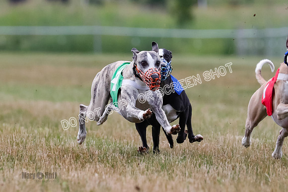 Prg 3, Race 4, Rowan-Jett-Blaze-Shimmy-Bogie-1139