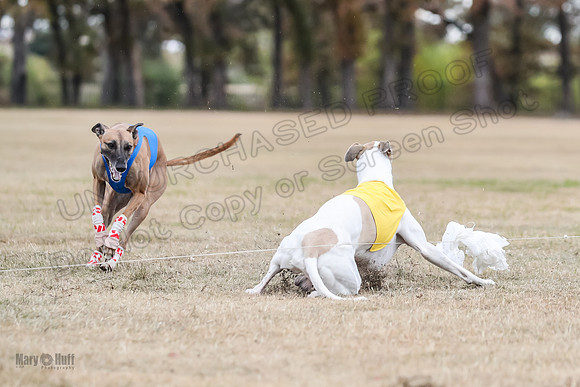 Finals Open 2 Cheese PeteySue Treble-3976