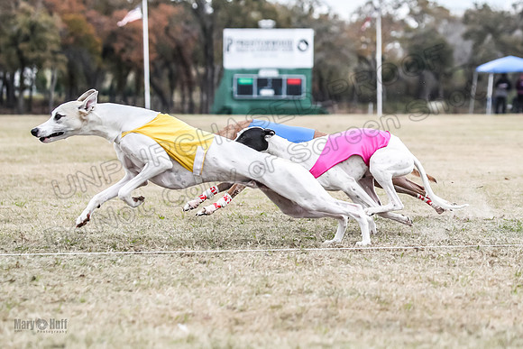 Finals Open 2 Cheese PeteySue Treble-3921