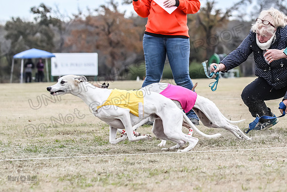 Finals Open 2 Cheese PeteySue Treble-3917