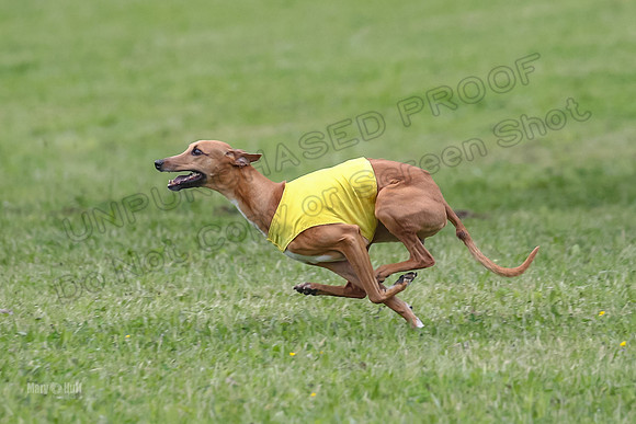 Prelim Veterans 4, Smokey Vulcan Justice-0173