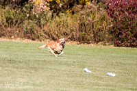 IMG_1331