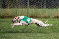 prg 1 race 1 Nathalia Tissy Seeker Angel-2834