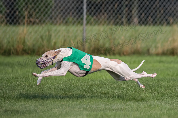 prg 1 race 1 Nathalia Tissy Seeker Angel-2834