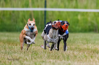 Prg 2, Race 4, Marty, Bogie, Denim, Meatloaf, Blaze, Raz-2-5