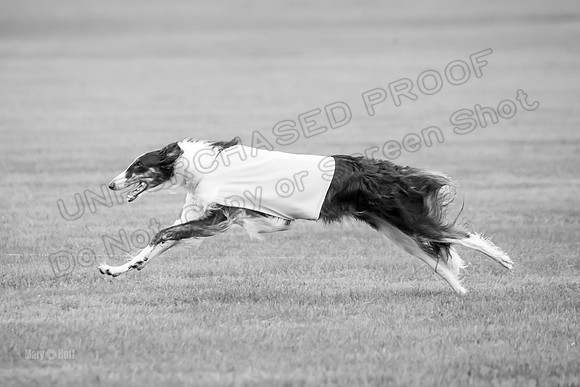 Open Prelim 2, Masquerade Freebie-0542-2