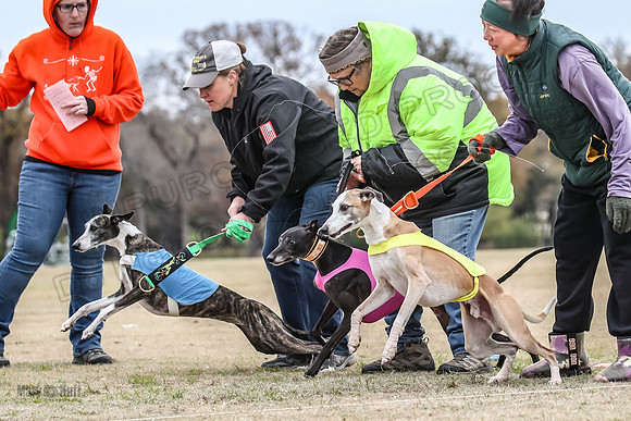 Finals Open 3 Scorch Shine Kashi-4011