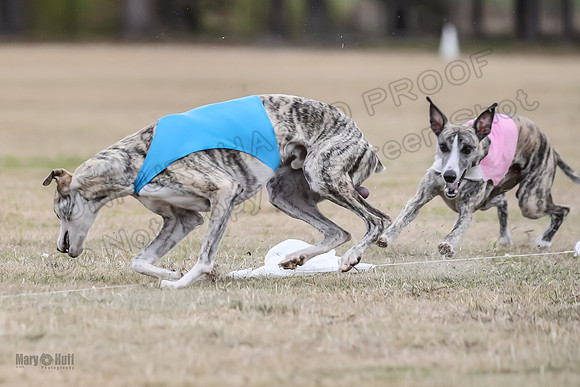Finals Open 1 Steel Maverick Eggsy-3874