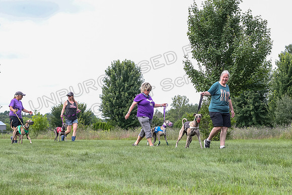 prg 1 race 4 lola Willow Finely Ullr Ready-3566