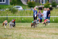 Prg 2, Race 4, Marty, Bogie, Denim, Meatloaf, Blaze, Raz-0987