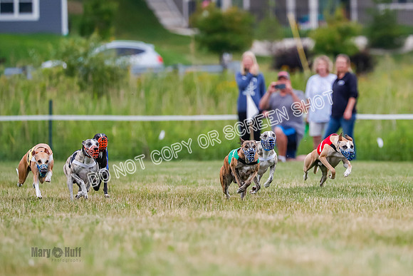 Prg 2, Race 4, Marty, Bogie, Denim, Meatloaf, Blaze, Raz-0987