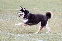 IMG_1142