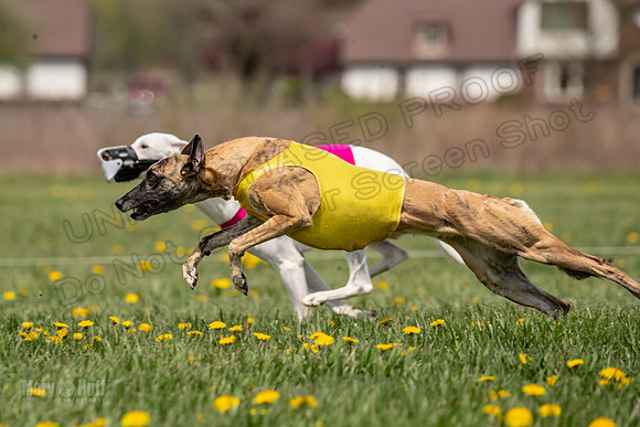 Finals Open F1 Mae Phantom Sonic-3768