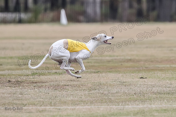 Finals Open 2 Cheese PeteySue Treble-3946