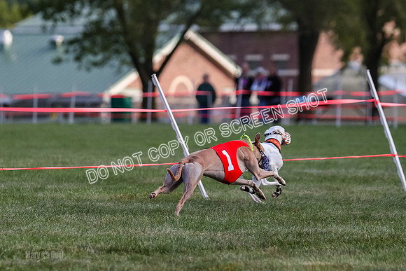 Prg 1, race 4, Rarity Hillary Barley Clyps-0662