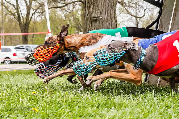 WRA, Prg 3, Race 7, Jubilee Sparks Snacks Tahoe Babblez Stormy-9201