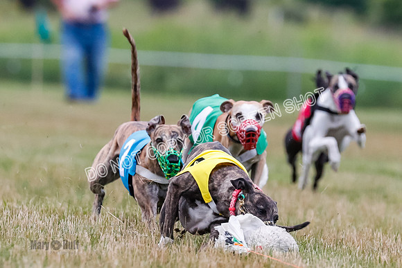 Prg 3, Race 5, Sid-Alex-Zed-Fama-Talim-1178