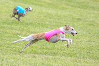 Prelim Specials A1, Booster Leo KinkyBoots-9609