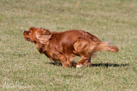 IMG_1594
