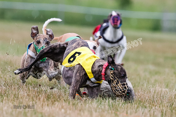 Prg 3, Race 5, Sid-Alex-Zed-Fama-Talim-1180