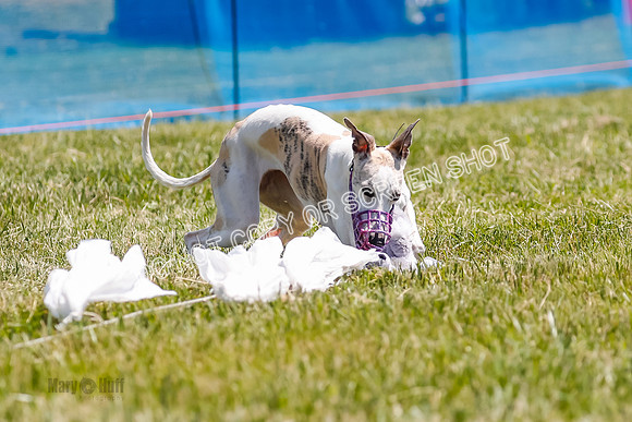 _E4I4240