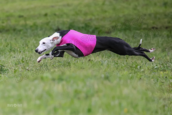 Prelim Open G1, Banshee Mystic Stoli-9421