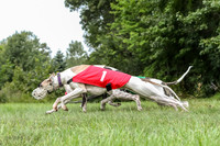 prg 1 race 2 Tissy Wallie Frankie Elsa-3512