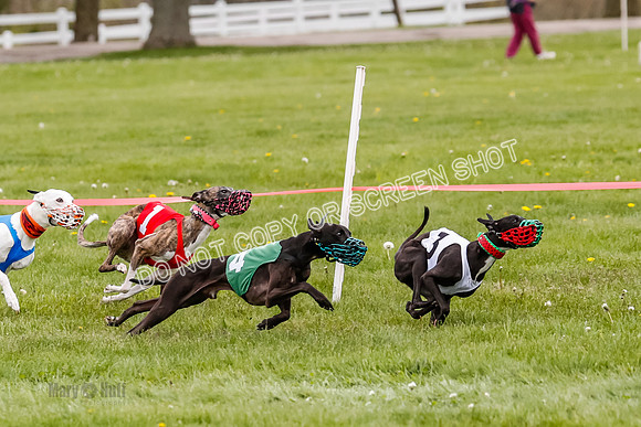 NOTRA Program 4, Race 1, Warrior Barley Flair Victor-2-18