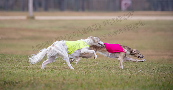 Finals Open Ripley Spiff-2661