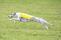 Prelim Specials A1, Booster Leo KinkyBoots-9597
