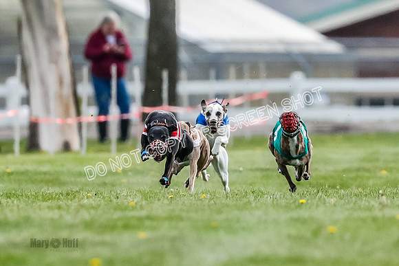 WRA, Prg 1, Race 5, Henry Eddie Deal Moki Feather Hit-8312