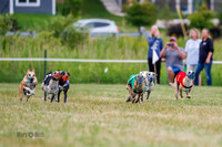 Prg 2, Race 4, Marty, Bogie, Denim, Meatloaf, Blaze, Raz-0986