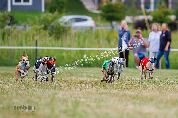 Prg 2, Race 4, Marty, Bogie, Denim, Meatloaf, Blaze, Raz-0986