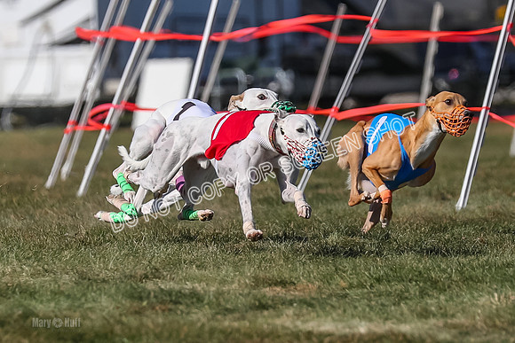 Prg 4, Race 13, oats Bookie Reas Rizzo-2760