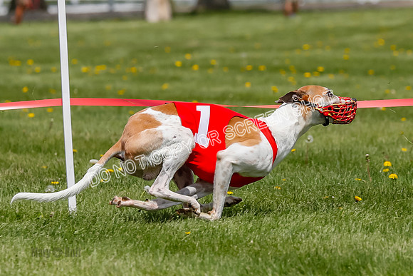 NOTRA Program 3, Race 5, Shakespeare Tsunami Bibi Kraken-2-15